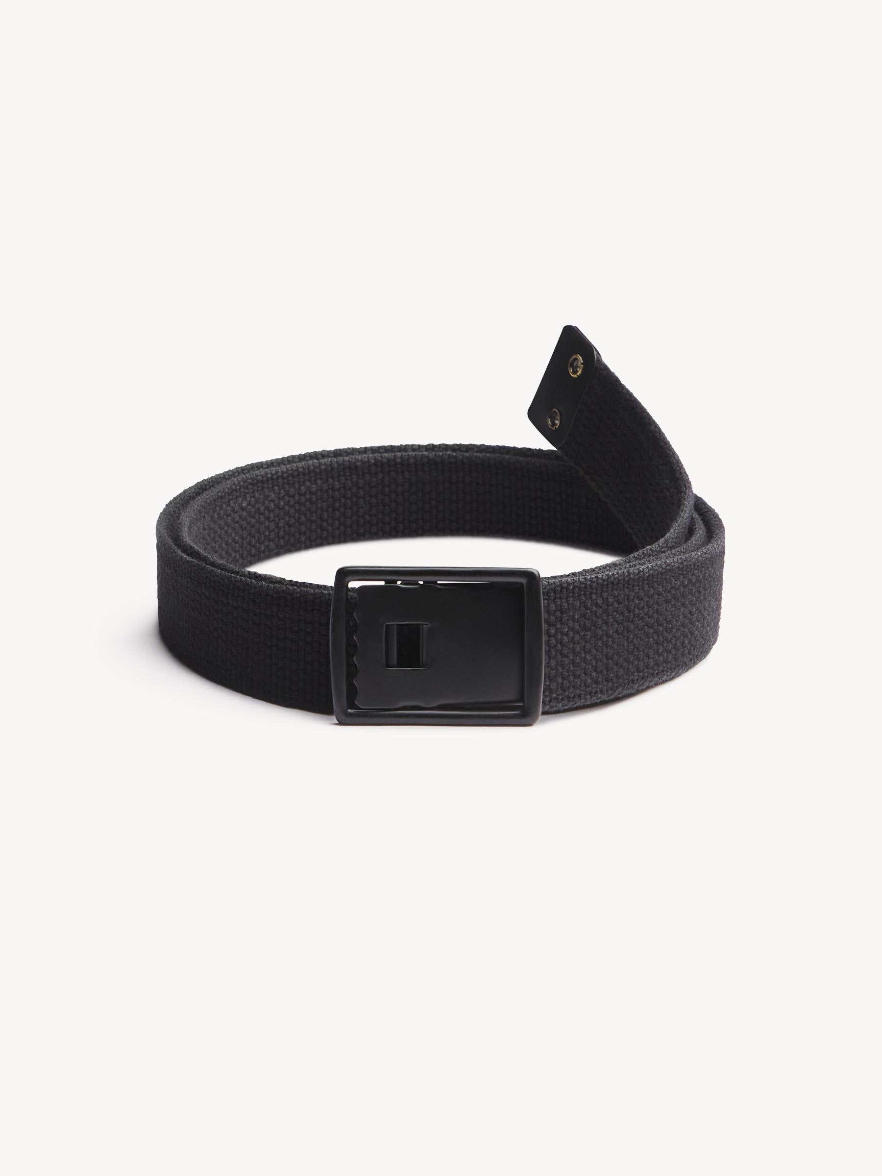 Black Holdfast Web Belt